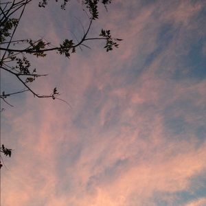 Meet your Posher, Carter